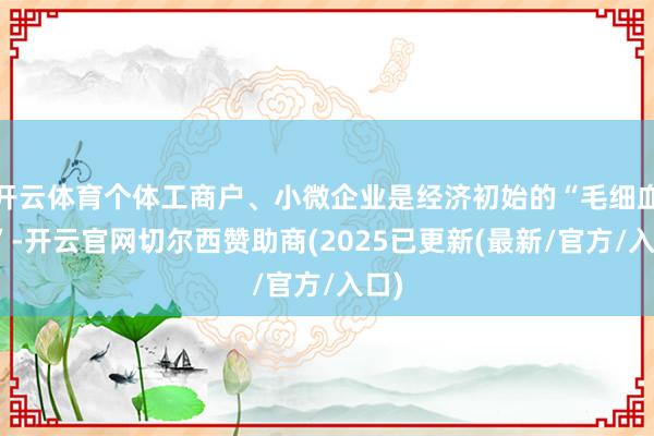 开云体育个体工商户、小微企业是经济初始的“毛细血管”-开云官网切尔西赞助商(2025已更新(最新/官方/入口)