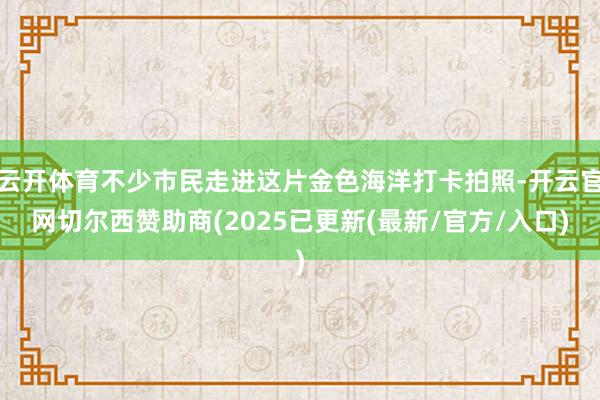 云开体育不少市民走进这片金色海洋打卡拍照-开云官网切尔西赞助商(2025已更新(最新/官方/入口)