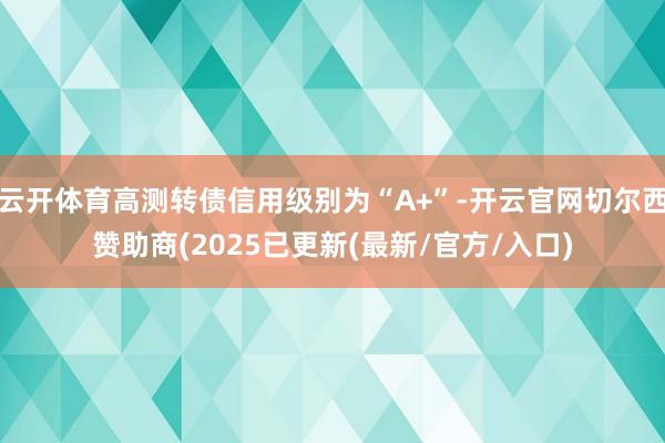 云开体育高测转债信用级别为“A+”-开云官网切尔西赞助商(2025已更新(最新/官方/入口)